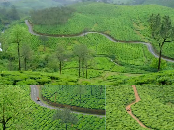 വാല്‍പ്പാറ