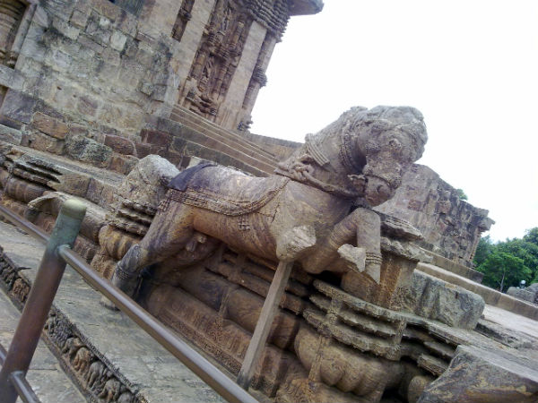 02. കുതിരകള്‍