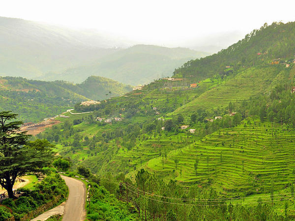 12. അല്‍മോറ