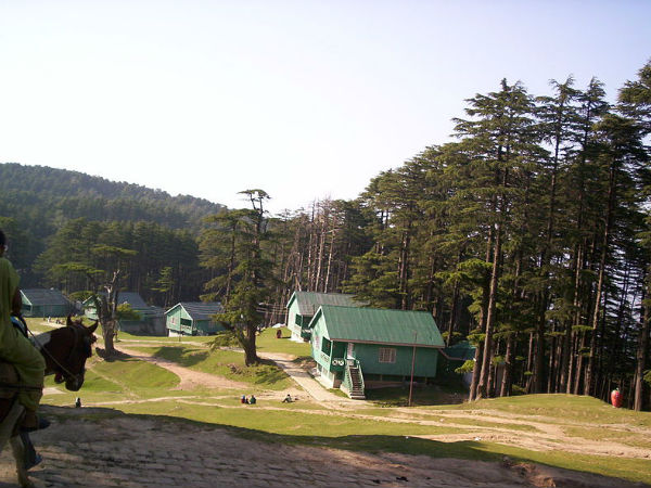 പാട്നിടോപ്പ്