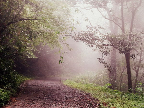 ഇക്കോ ടൂറിസം