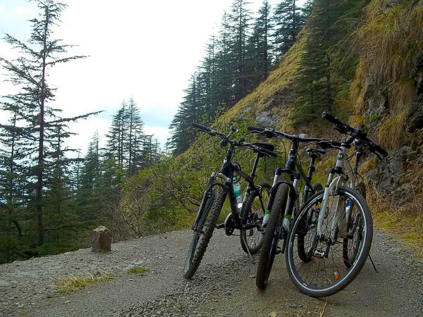 ഛെയില്‍