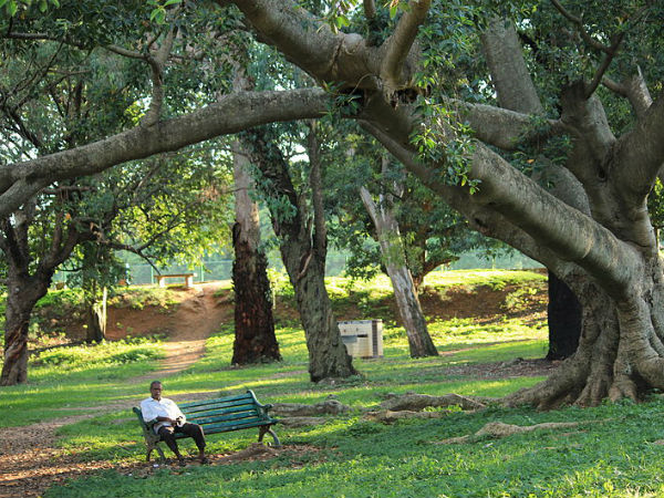 ചാരുബഞ്ച്