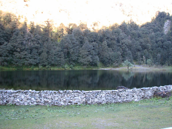 ദോദി താൽ