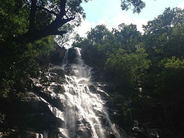 ബീ ഫാള്‍