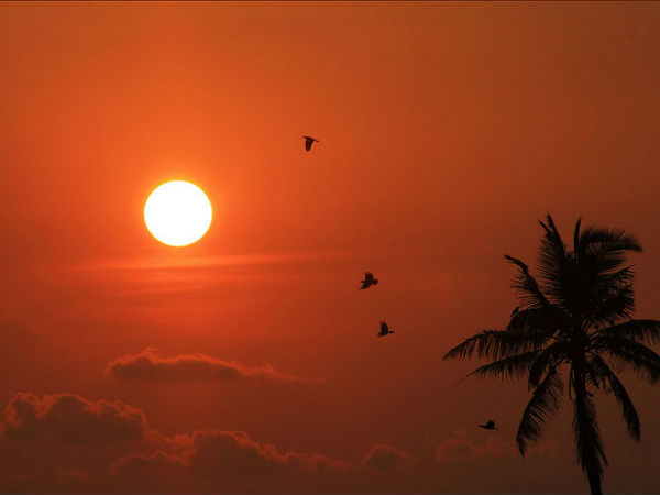 പൂവാര്‍ ബീച്ച്