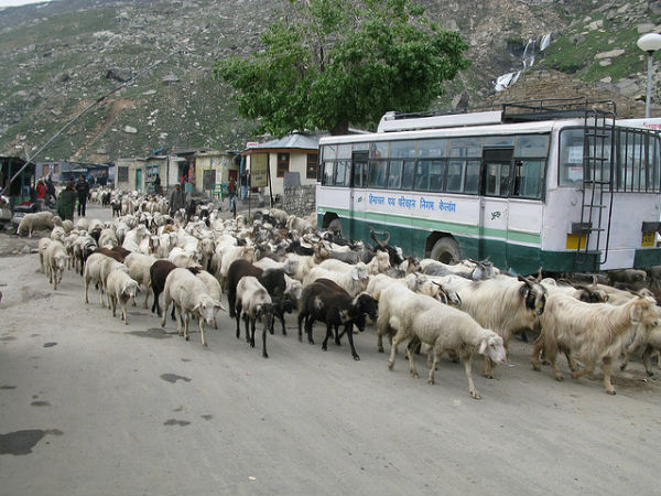 കൂടുതല്‍ ചിത്രങ്ങള്‍