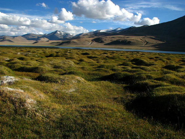കിഴക്കന്‍ ലഡാക്ക്