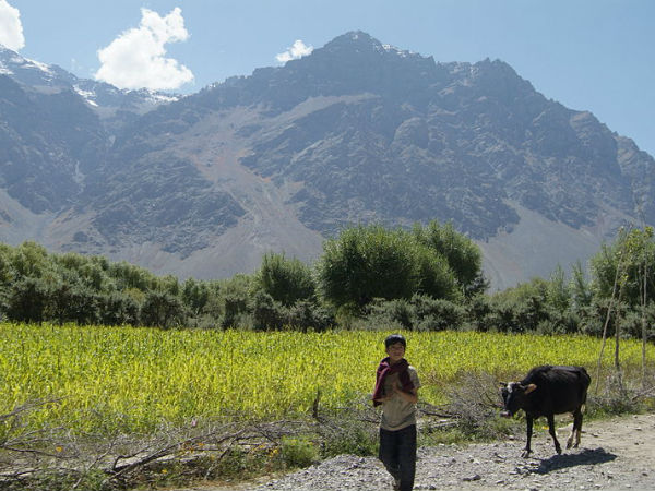 കൃഷിയിടം