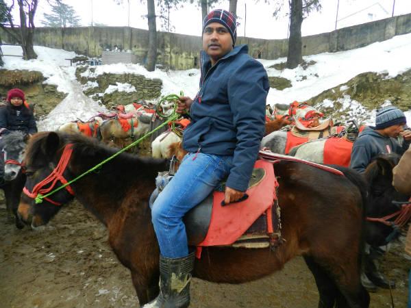 കുതിര സവാരി