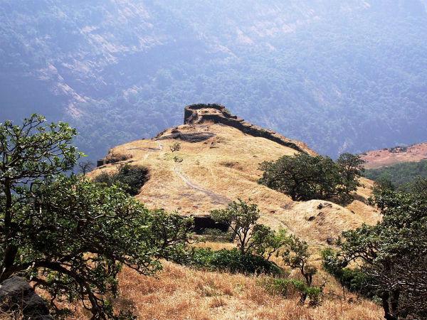 ക്യാമ്പിംഗ്