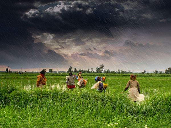 05. ജാമോനിയ ജോഹര്‍, മധ്യ‌പ്രദേശ്