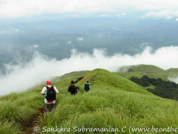 15. ചെമ്പ്രപീക്ക്, കേരളം