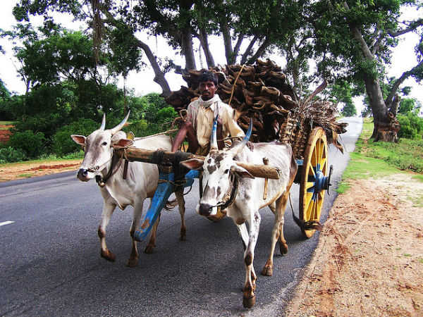 23. മാസിനഗുഡി, തമിഴ്നാട്
