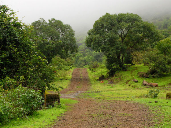 24. വര്‍സോലി, മഹാരാഷ്ട്ര