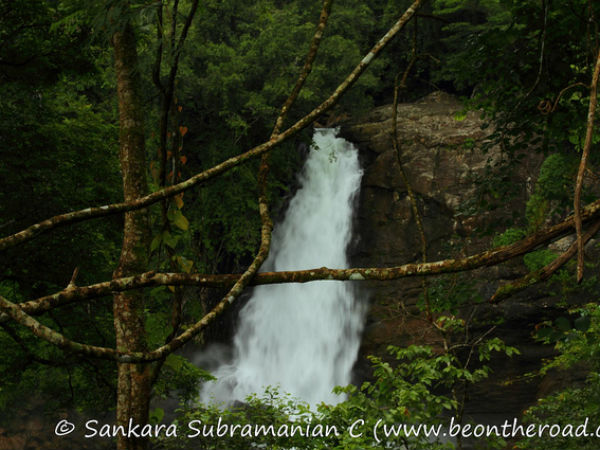 29. സൂചിപ്പാറ, കേരളം