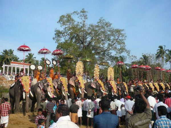 23. ഉത്രാളിക്കാവ് പൂരം