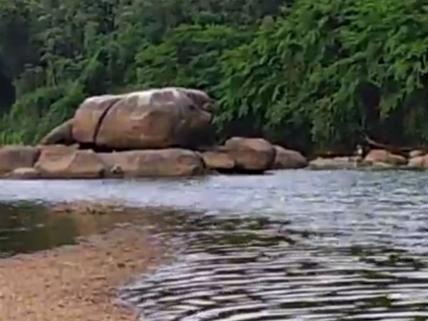 19. ആനക്കല്‍