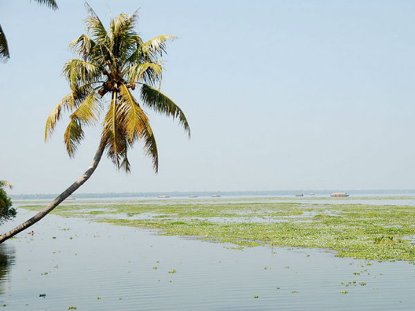 44. വേമ്പനാട് കായല്‍, ആലപ്പുഴ