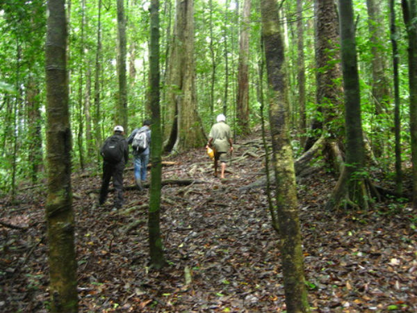 ട്രെക്കിംഗ്