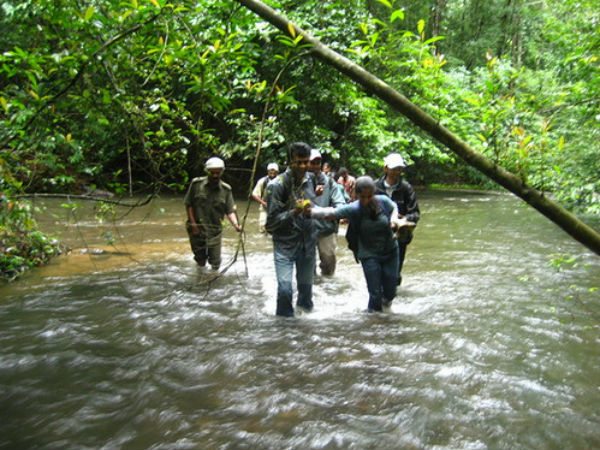 ട്രെക്കിംഗ്