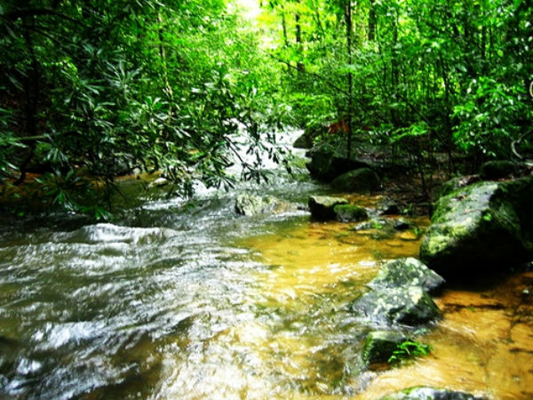 ട്രെക്കിംഗ്