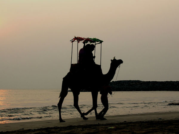 കാഴ്ചകള്‍