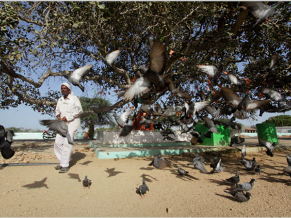 താമസിക്കാന്‍