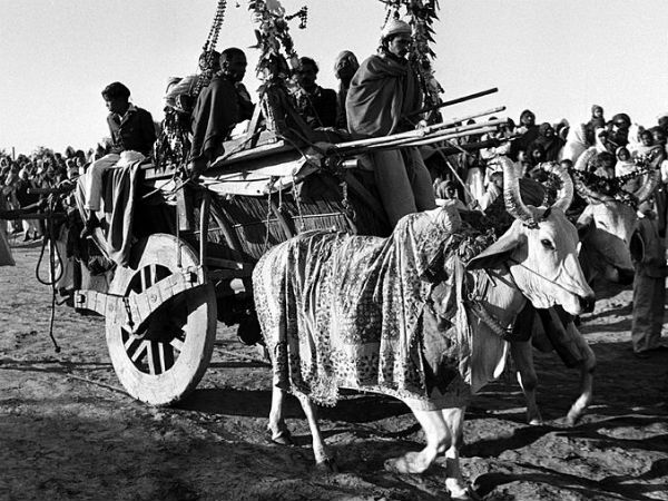 അലഹബാദ് (1953)