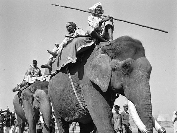 അലഹബാദ് (1953)