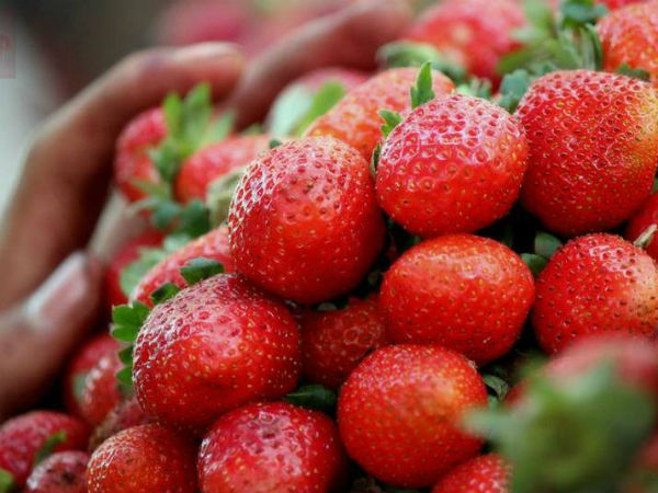 കാഴ്ചകള്‍