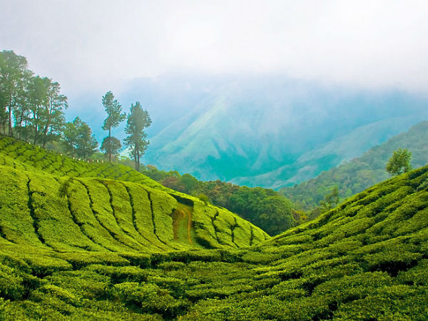 48. മൂന്നാര്‍