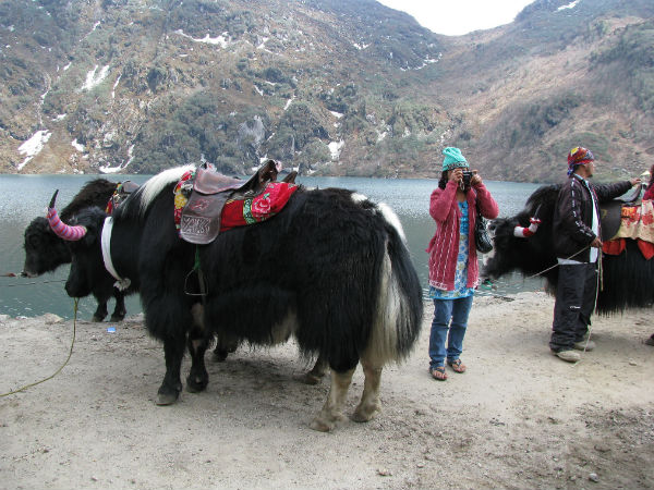 പ്രധാന ആകര്‍ഷണങ്ങള്‍