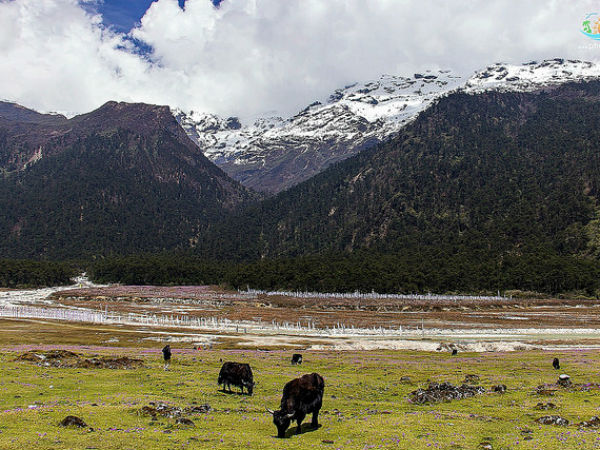 യാത്ര ചെയ്യാന്‍