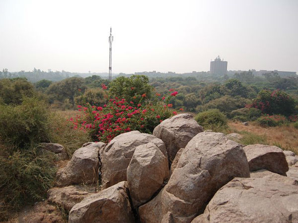 5. പാര്‍ത്ഥ സാരഥി റോക്ക്സ്