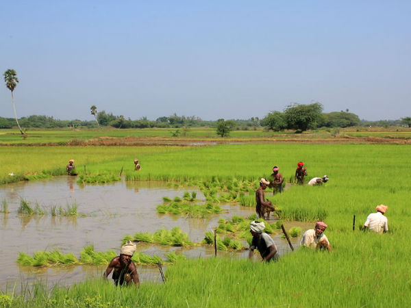 അമ്മന്‍കുടി