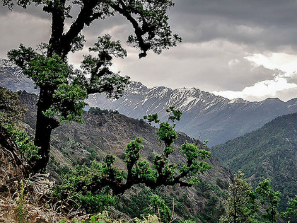 സാരി വില്ലേജ്