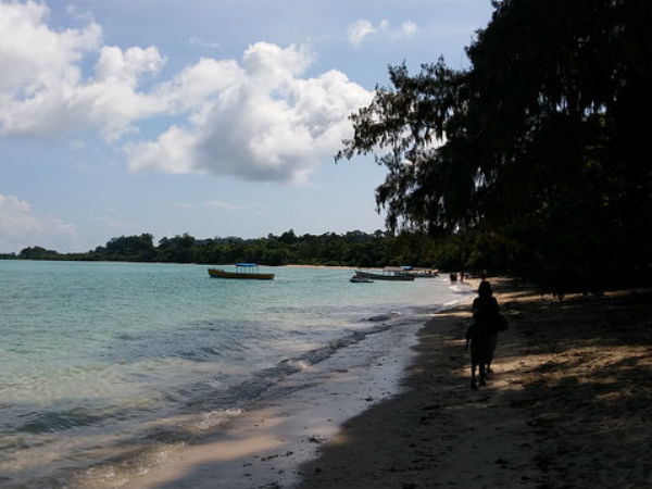 ഗ്രേറ്റ് നിക്കോബാർ ദ്വീപ്