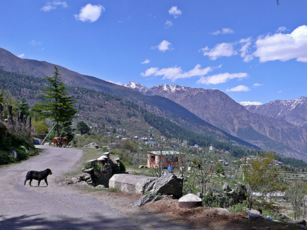 കൂടുതല്‍ ചിത്രങ്ങള്‍