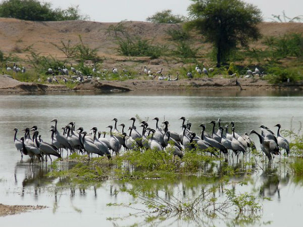 മറ്റുസ്ഥലങ്ങള്‍