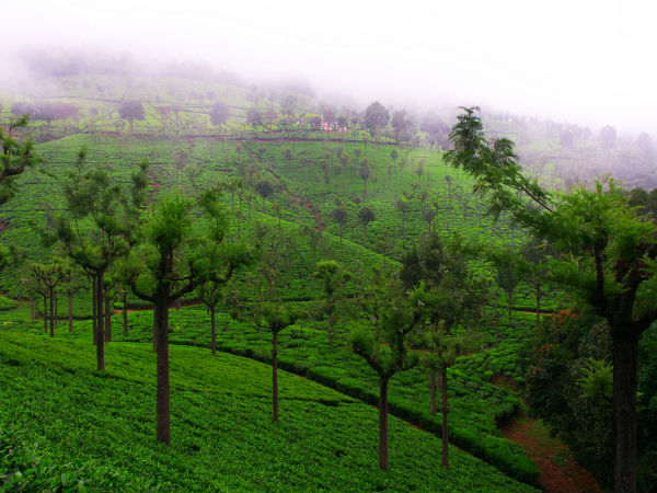 09. കുന്നൂര്‍ (ഹില്‍സ്റ്റേഷന്‍)