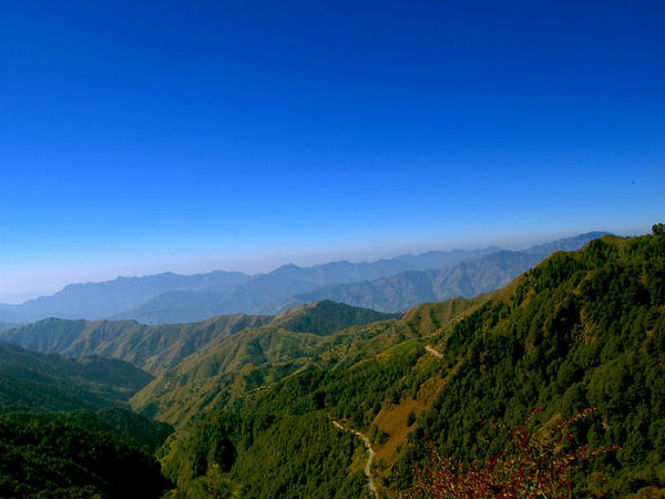 19. കല്‍സി