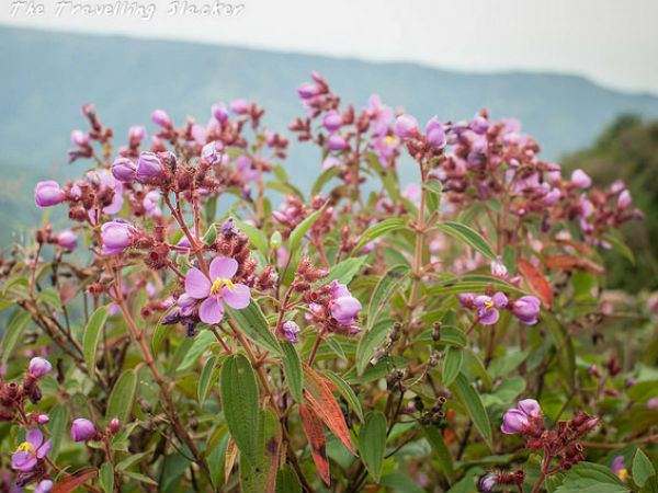 കാഴ്ചകള്‍