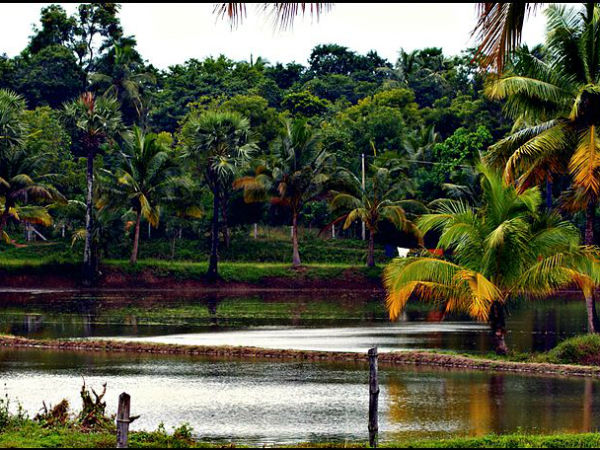 09. വടവന്നൂർ