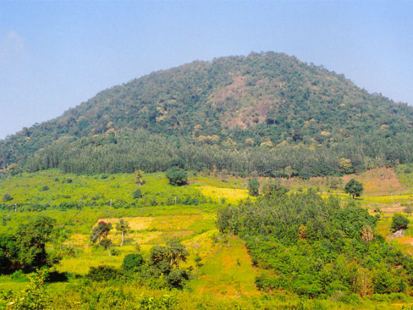 02. അരക്കു വലി (Araku Valley)
