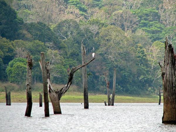 പെരിയാര്‍