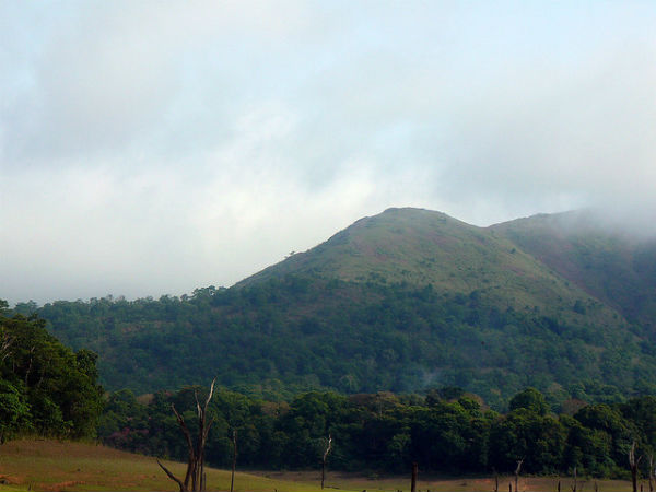 മലനിരകള്‍