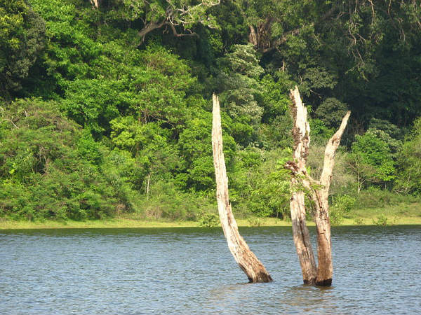 പാവന ഭൂമി