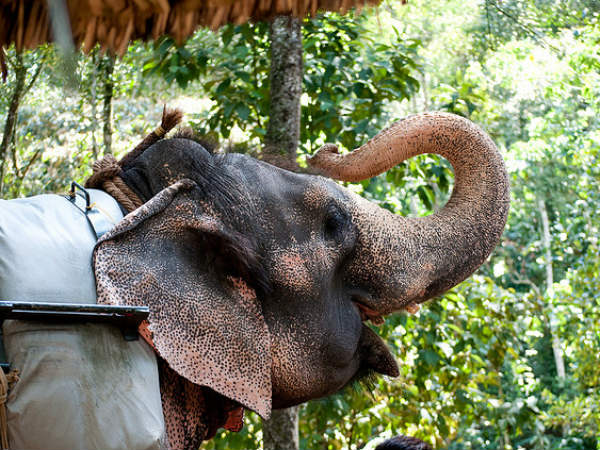 വണ്ടന്‍മേട്