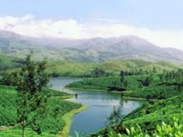 05. ജാമുയി